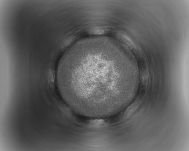 X0000095950374200801251135