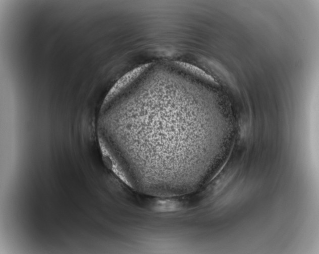 X0000095950376200801251135