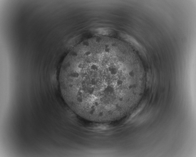 X0000095950377200801251135