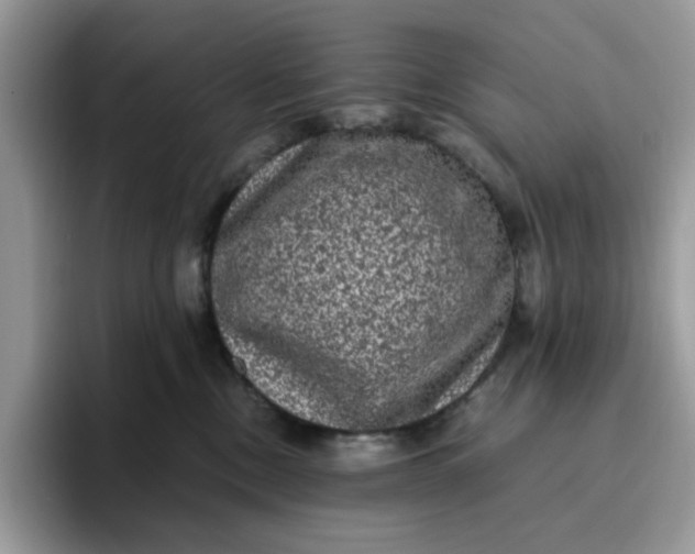 X0000095950378200801251135