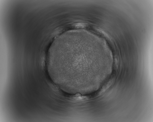 X0000095950379200801251135