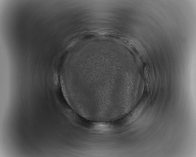 X0000095950380200801251135