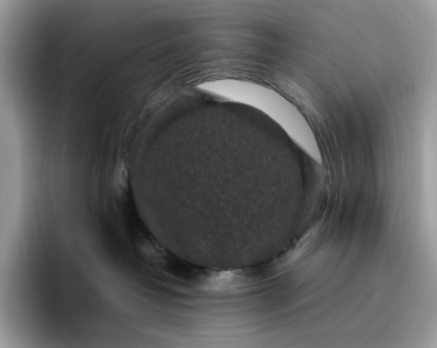 X0000095950382200801251135