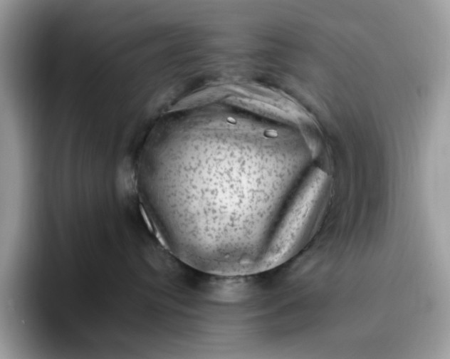 X0000095950384200801251135