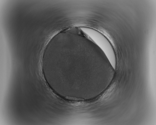 X0000095950385200801251134