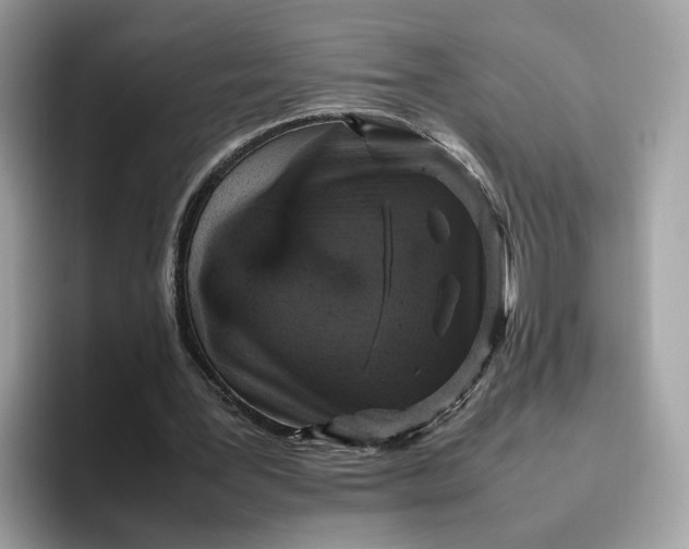 X0000095950387200801251134