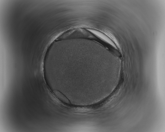 X0000095950389200801251134