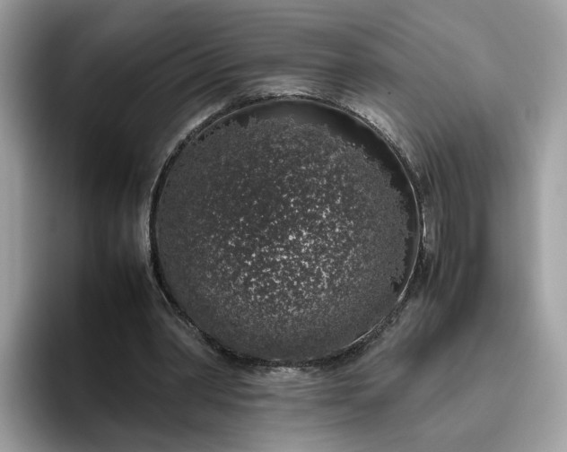 X0000095950390200801251134