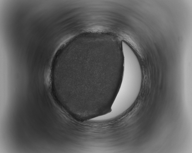 X0000095950392200801251134