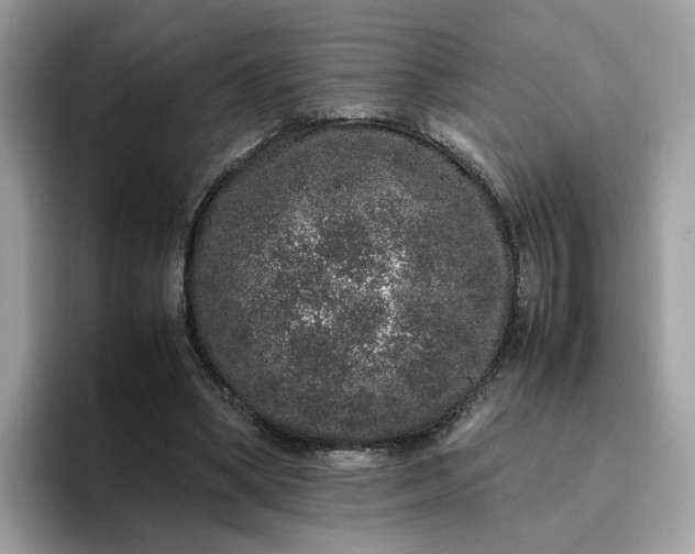 X0000095950394200801251134