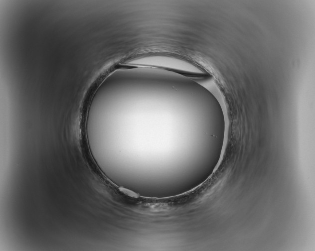 X0000095950395200801251134