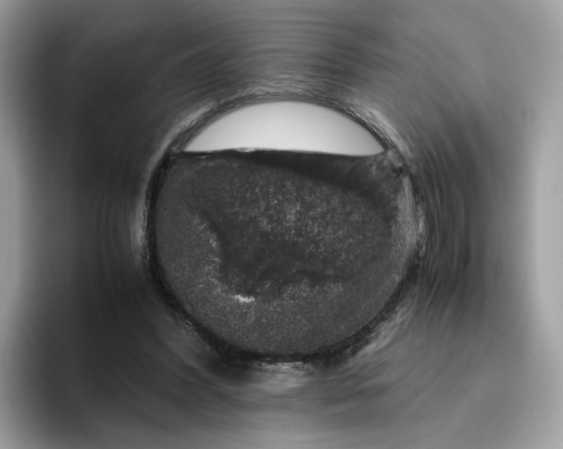 X0000095950396200801251134