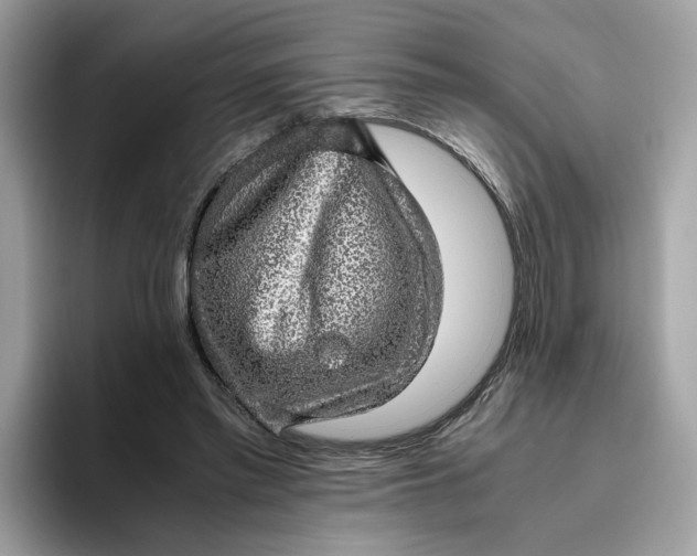 X0000095950397200801251134