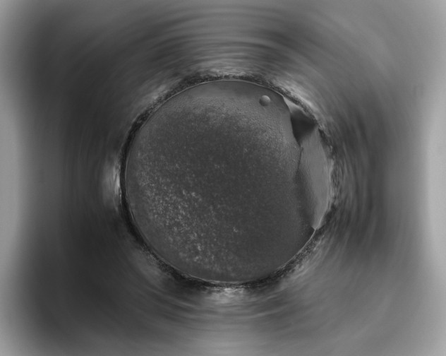 X0000095950398200801251134