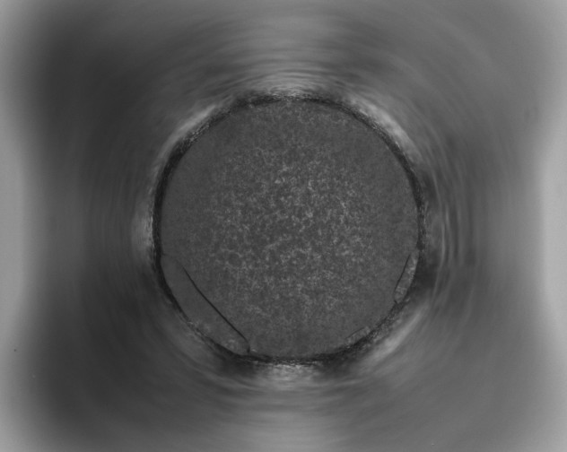 X0000095950399200801251134