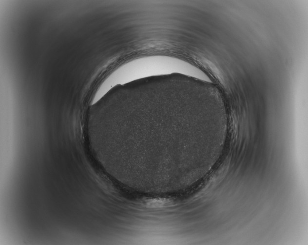 X0000095950400200801251134