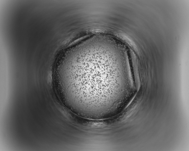 X0000095950401200801251134