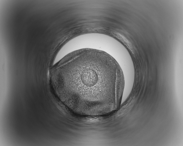 X0000095950405200801251134