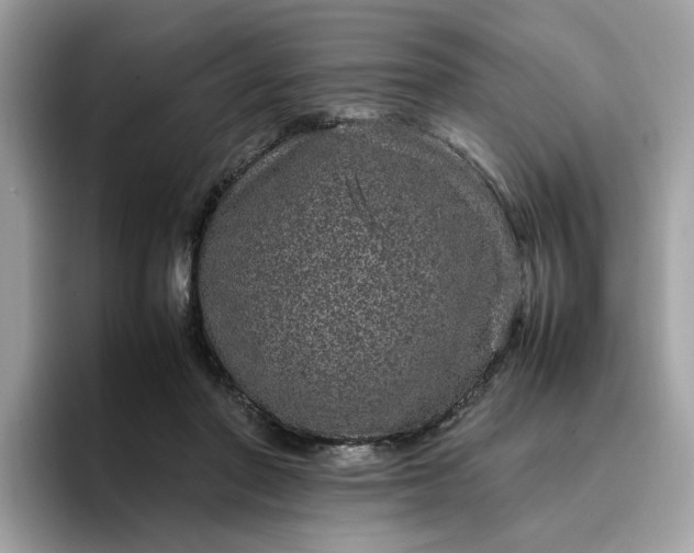 X0000095950406200801251134