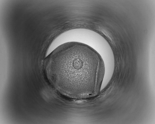 X0000095950407200801251134