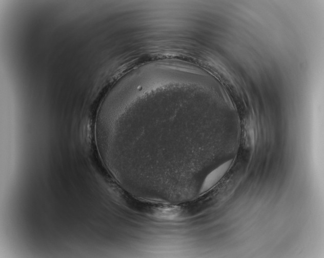 X0000095950410200801251134