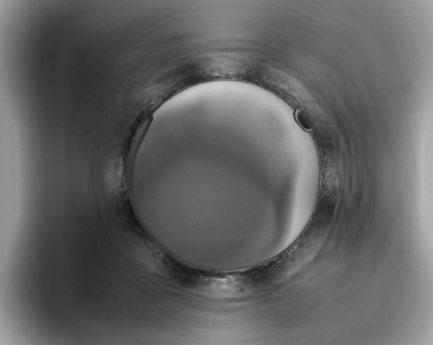 X0000095950411200801251134