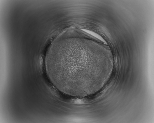 X0000095950412200801251134