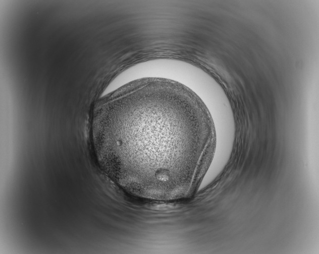 X0000095950413200801251134