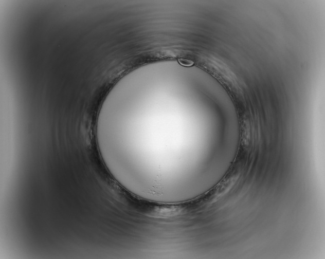 X0000095950414200801251134