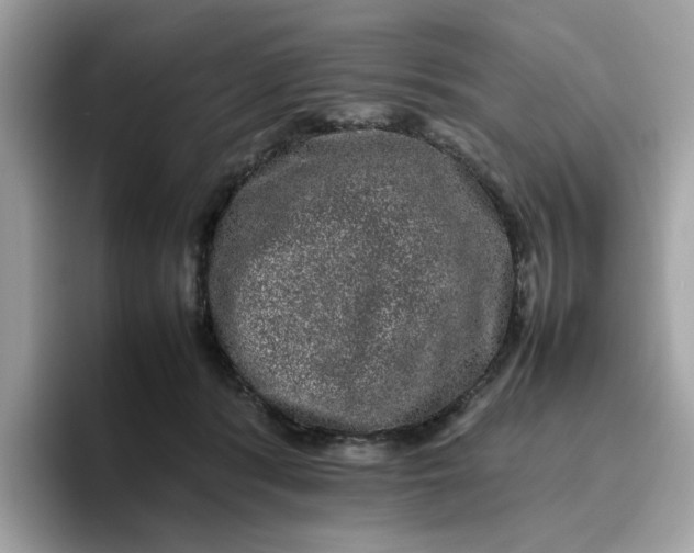 X0000095950416200801251134