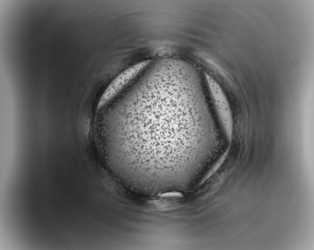 X0000095950417200801251134