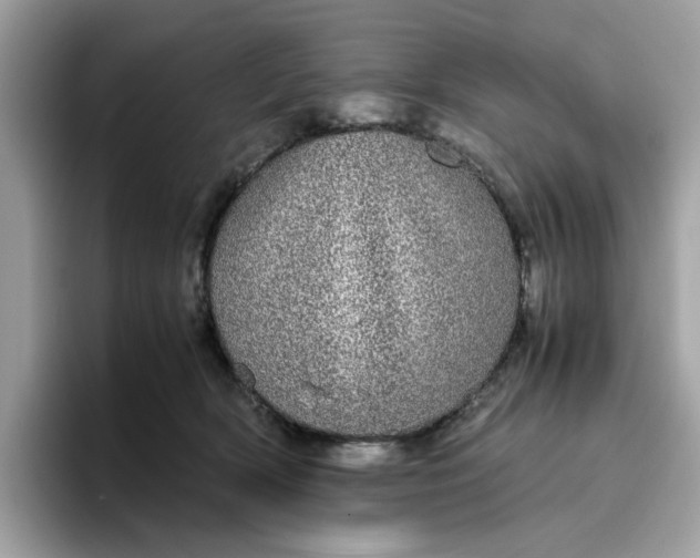 X0000095950418200801251134