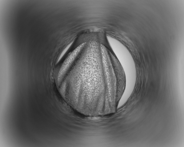 X0000095950419200801251134