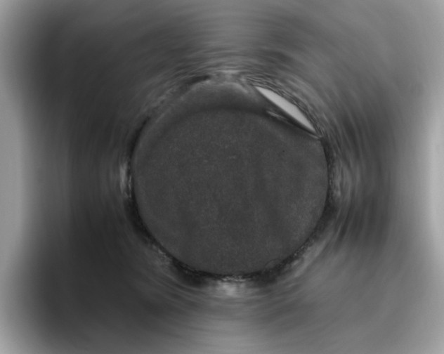 X0000095950420200801251134