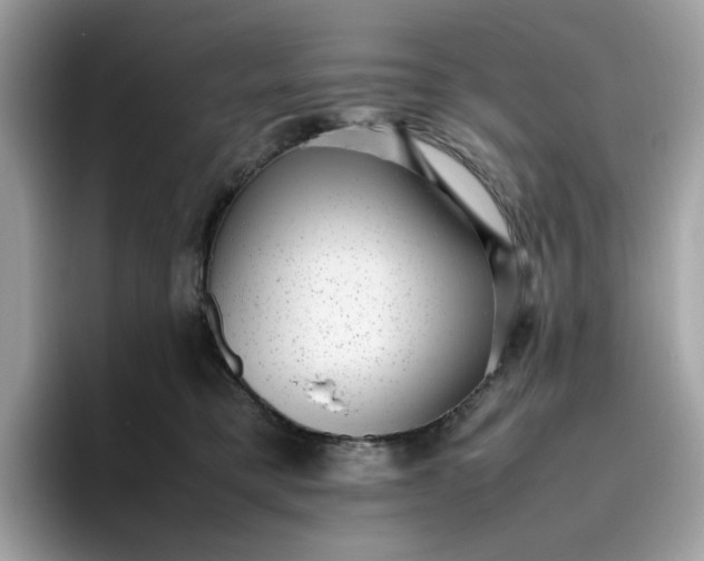 X0000095950421200801251134