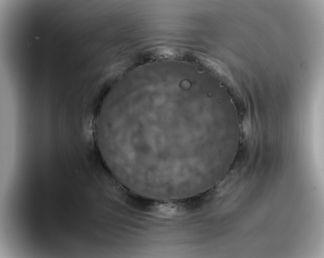 X0000095950423200801251134