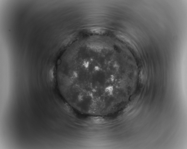 X0000095950424200801251134