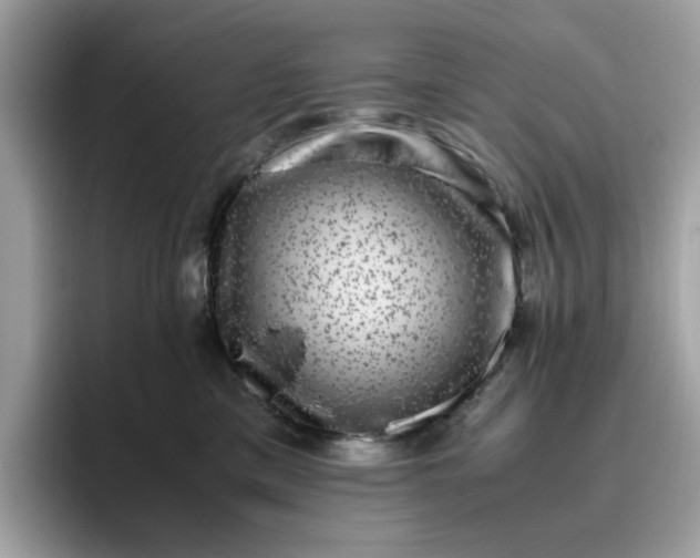 X0000095950425200801251134