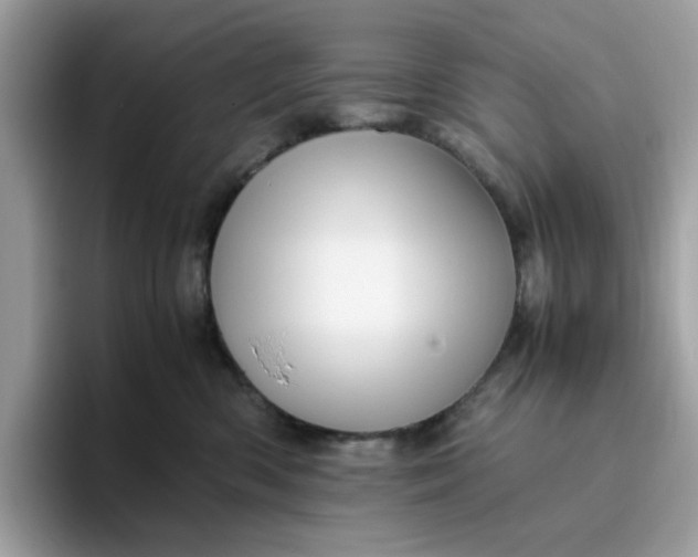 X0000095950426200801251134