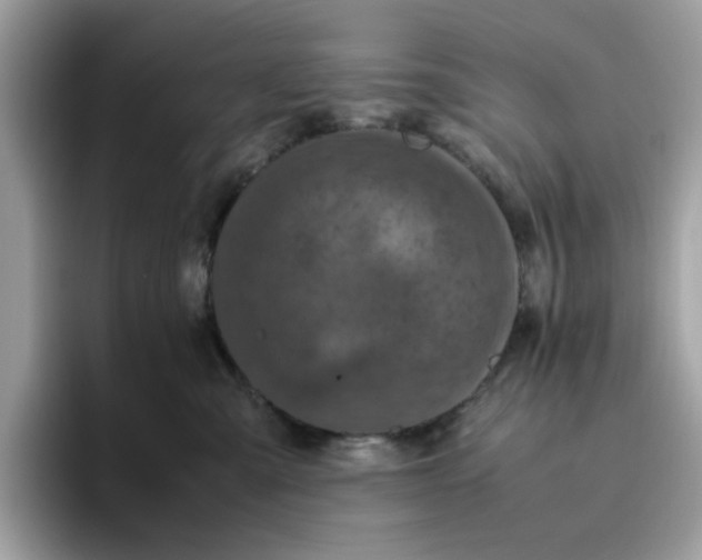 X0000095950427200801251134