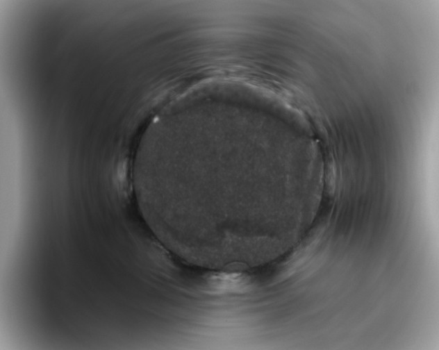 X0000095950428200801251134