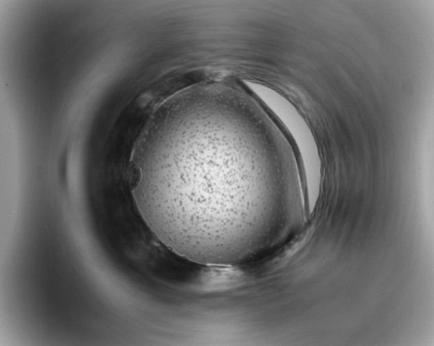 X0000095950429200801251134