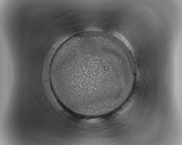 X0000095950433200801251133