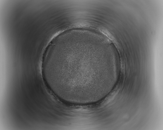 X0000095950434200801251133