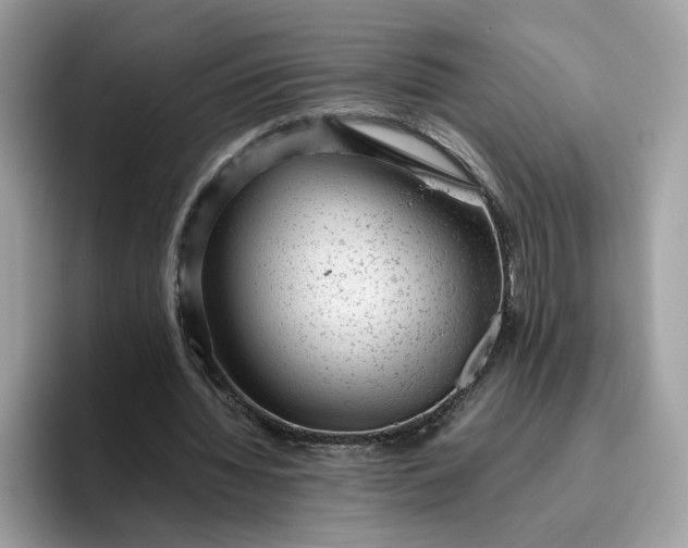 X0000095950436200801251133