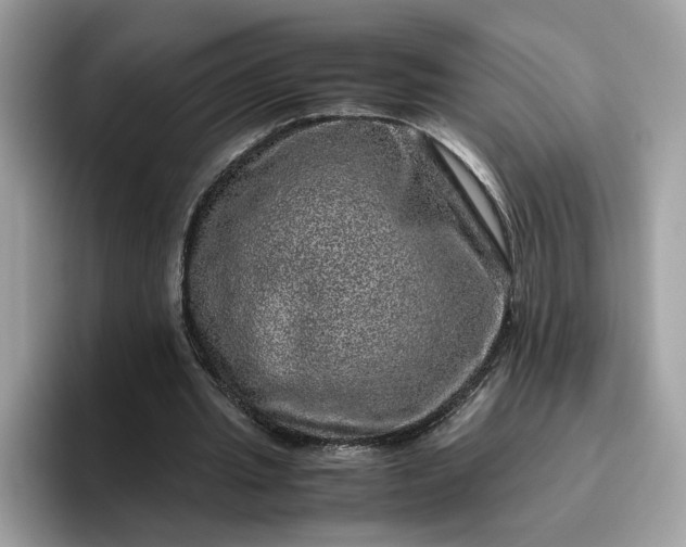 X0000095950437200801251133