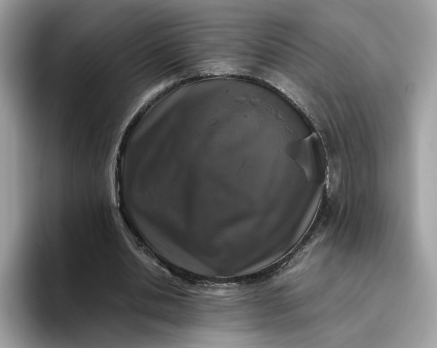 X0000095950438200801251133