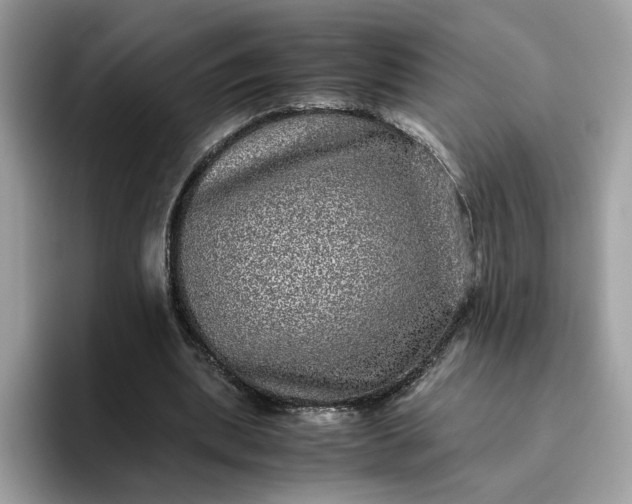 X0000095950439200801251133