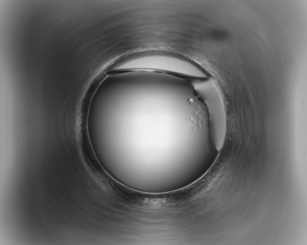 X0000095950440200801251133