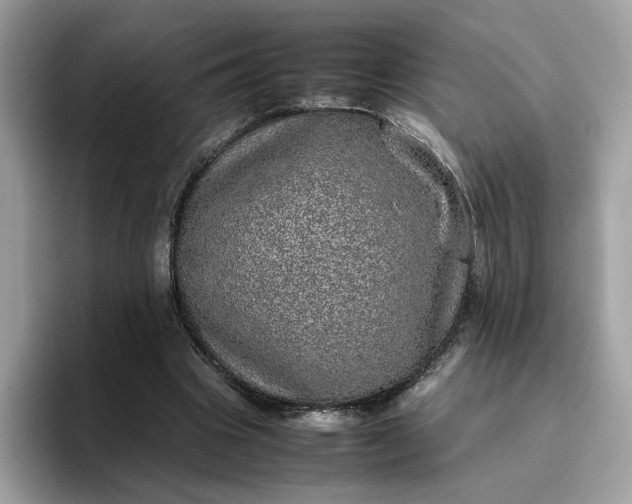 X0000095950441200801251133